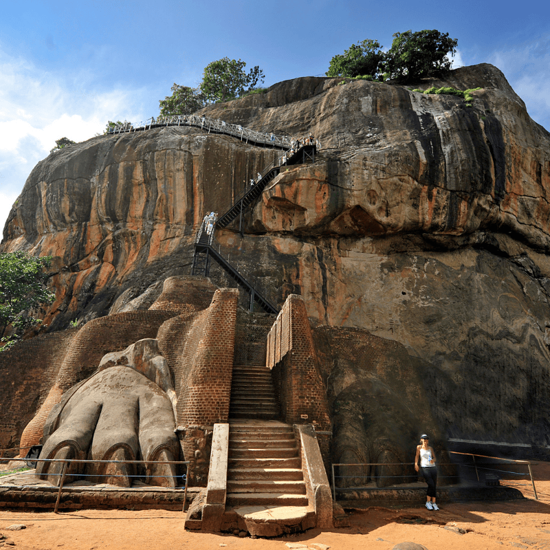 Untitled design - 2025-10-30T151423.193