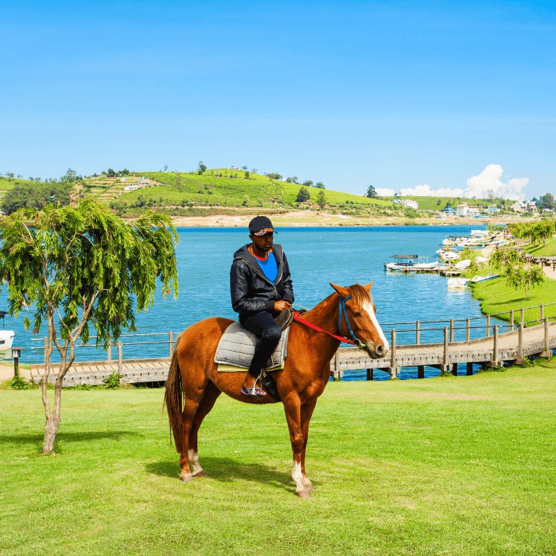 Untitled design - 2025-10-30T151520.067