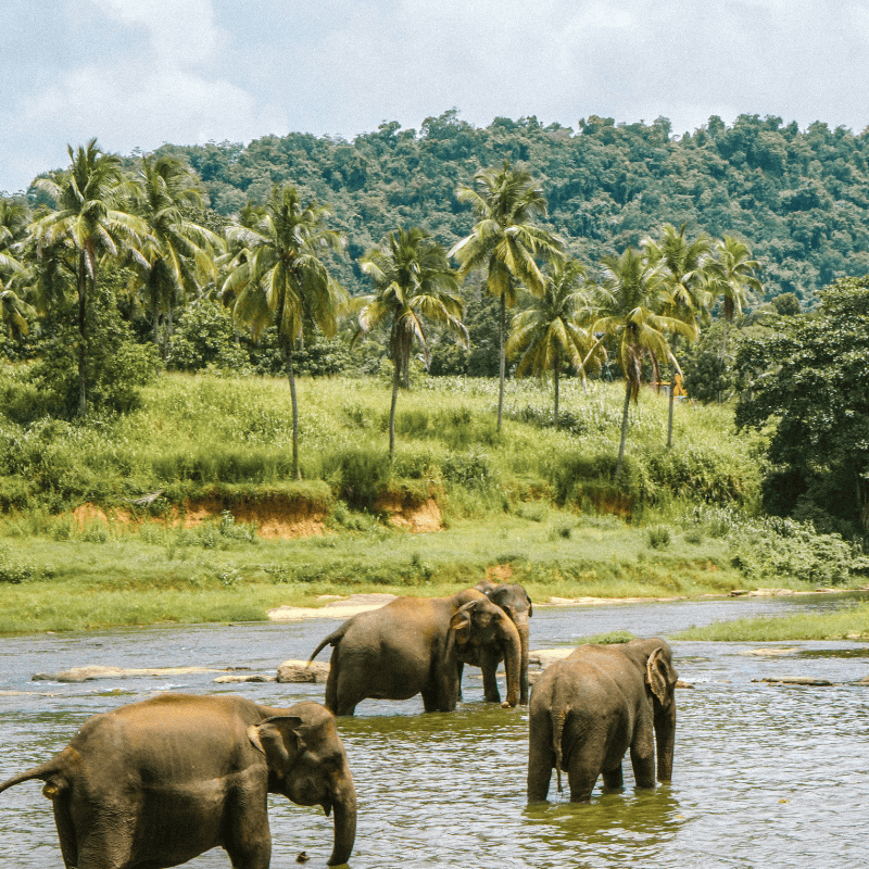 Untitled design - 2025-10-30T151635.387