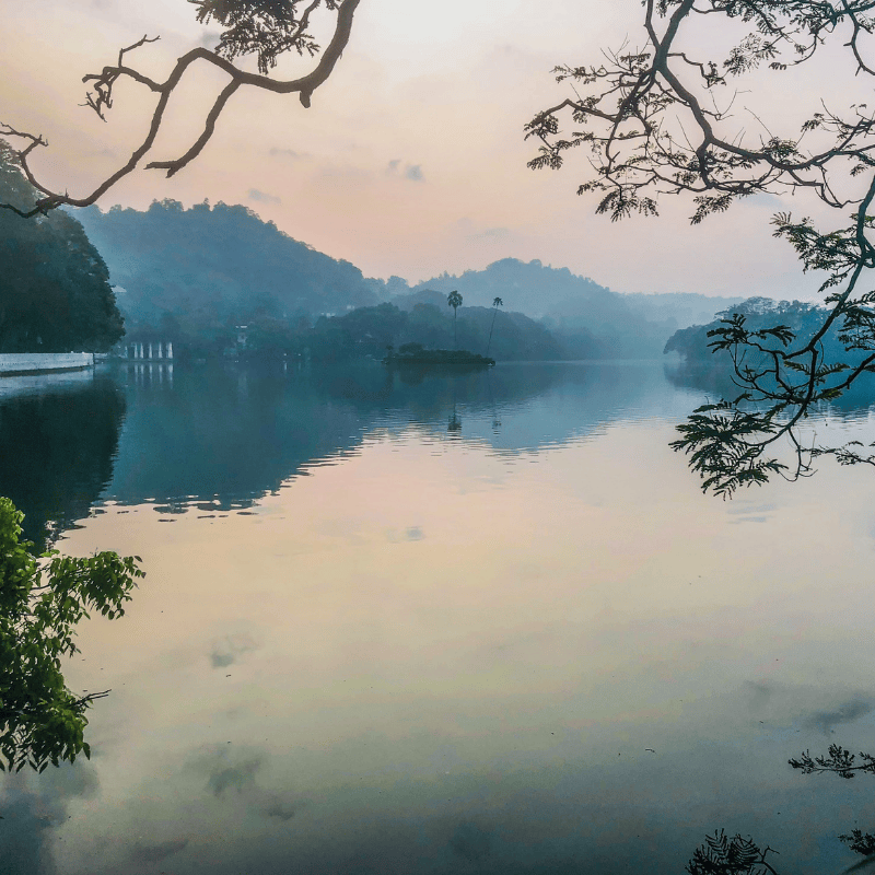 Untitled design - 2025-10-30T151652.230